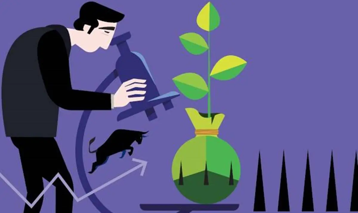 The Beginner’s Guide to Investing in the Share Market