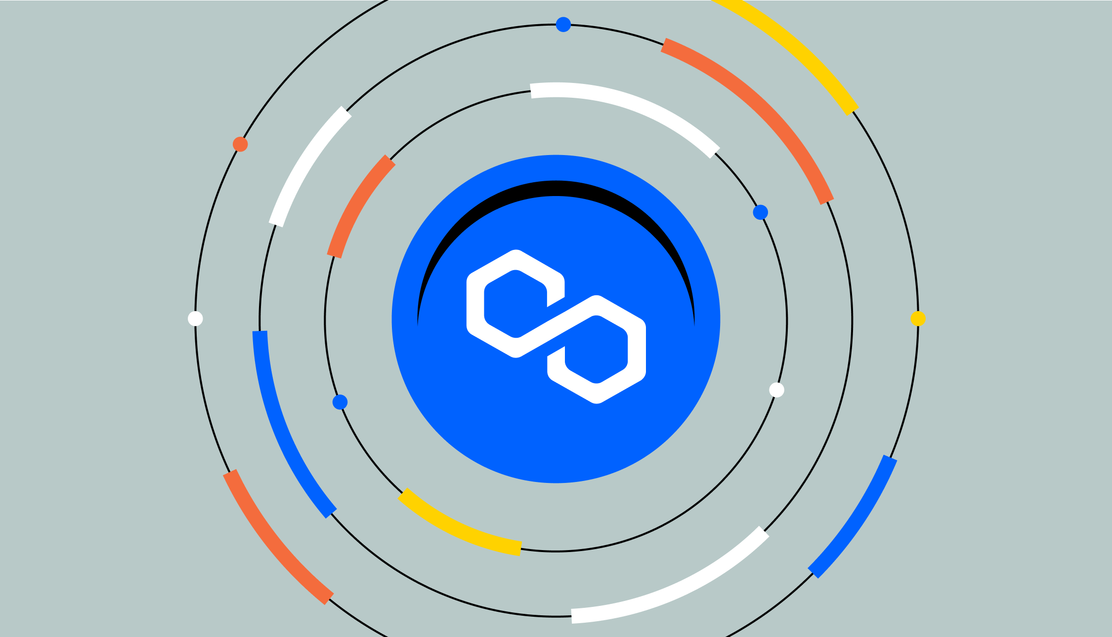 What is a Polygon Matic Wallet?